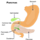 Pancreas cancer - photos